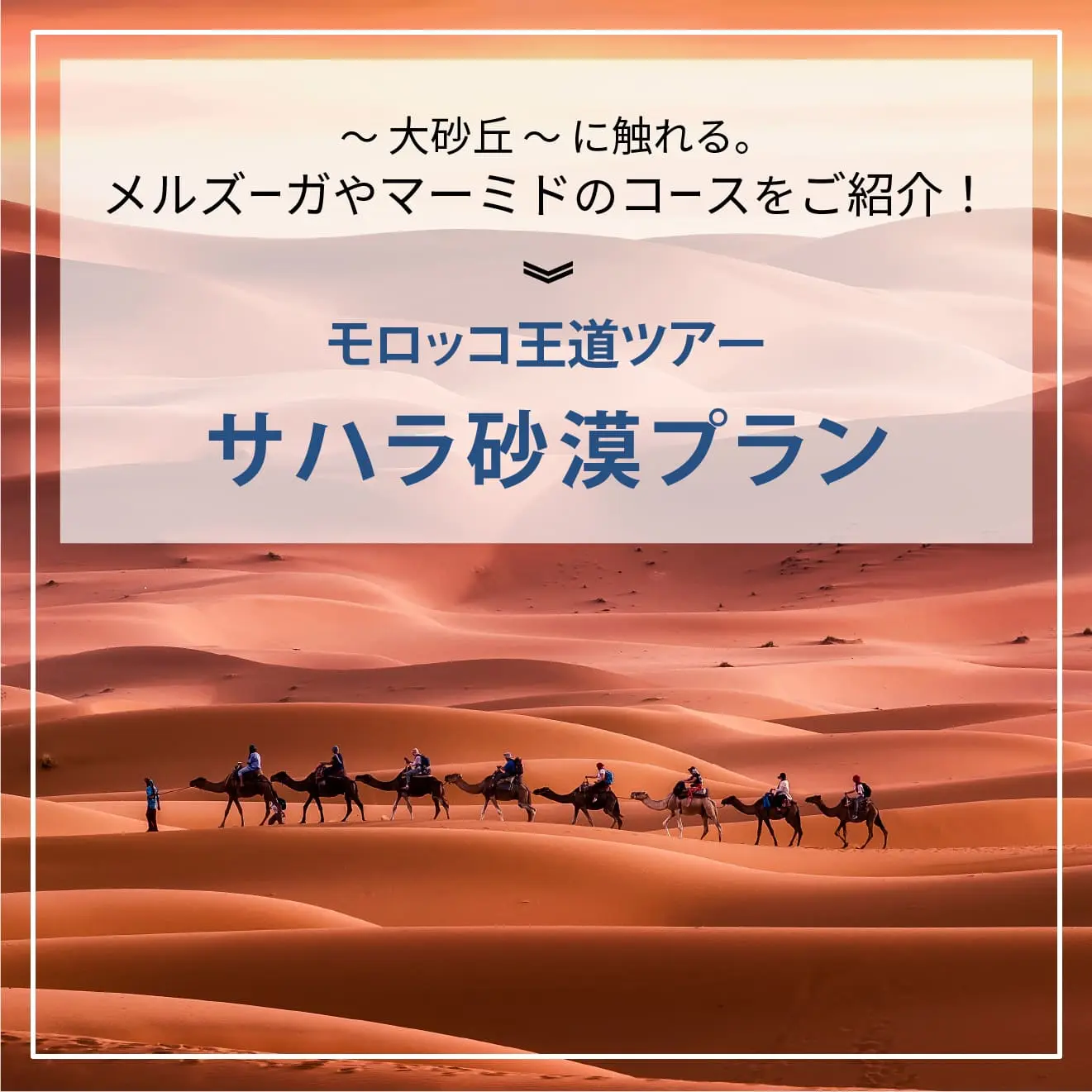 サハラ砂漠プラン